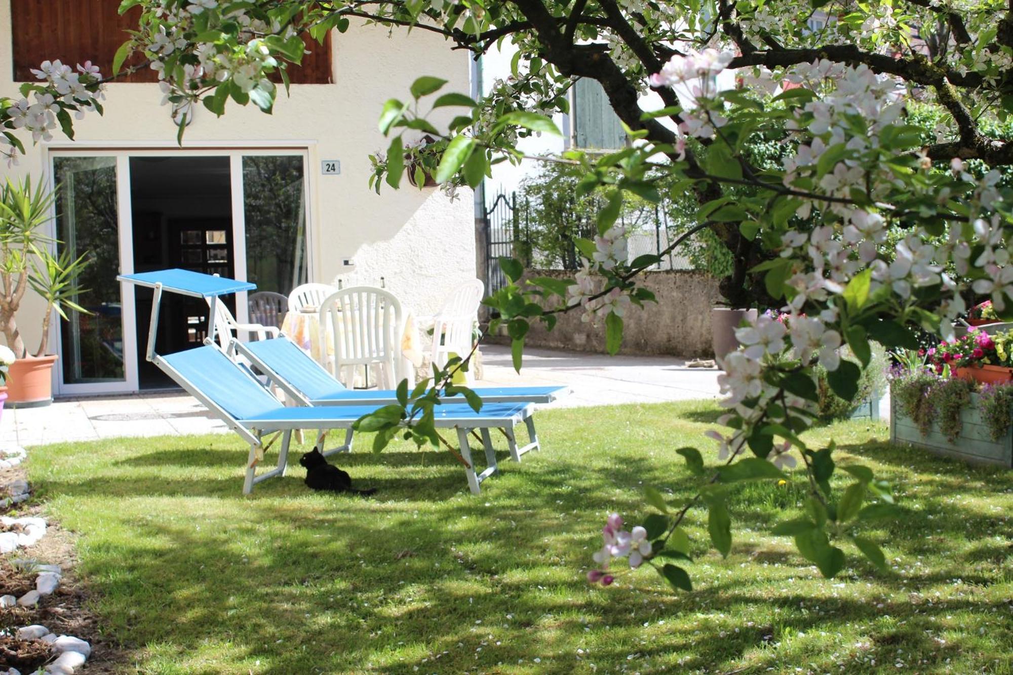 Residence Zecchini Tiarno di Sotto 客房 照片